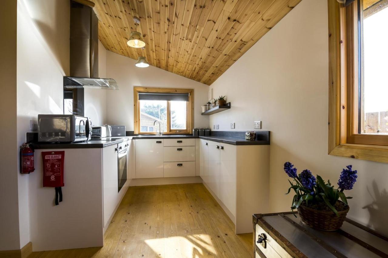 Laurel Lodge - 2 Bedroom Log Cabin - St Florence Saint Florence Exteriér fotografie