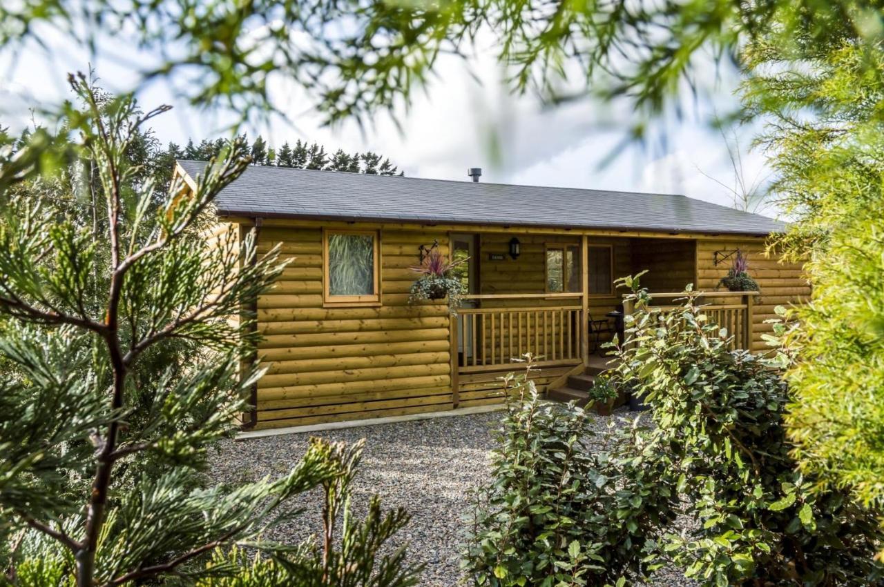 Laurel Lodge - 2 Bedroom Log Cabin - St Florence Saint Florence Exteriér fotografie